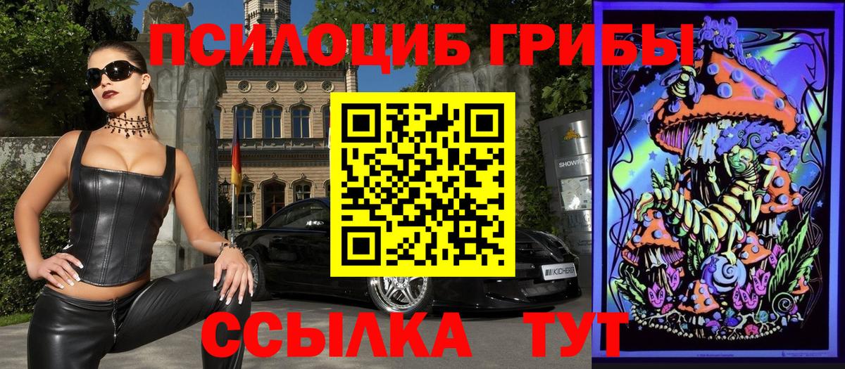Галлюциногенные грибы прущие грибы Волгодонск