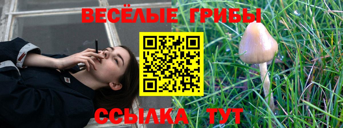 Волгодонск  Галлюциногенные грибы мухоморы  Псилоцибиновые грибы Cubensis  Вход с VPN 